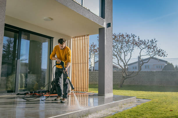 Best Solar Panel Cleaning  in Campbellsport, WI